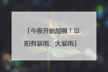 今夜开始加强！阜阳有暴雨、大暴雨